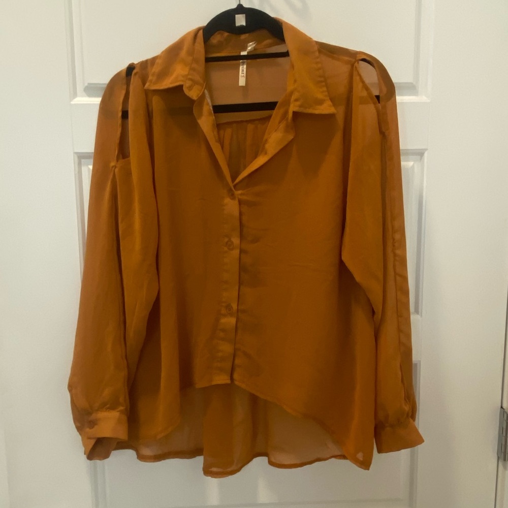 Sheer Blouse